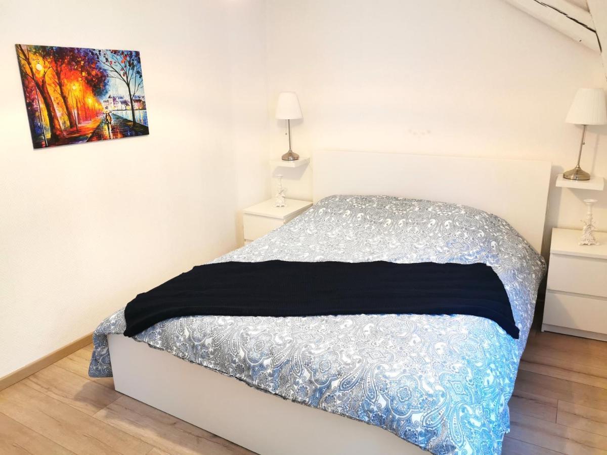 Petite Venise Grand Duplex Turenne Hyper Centre Colmar Eksteriør billede