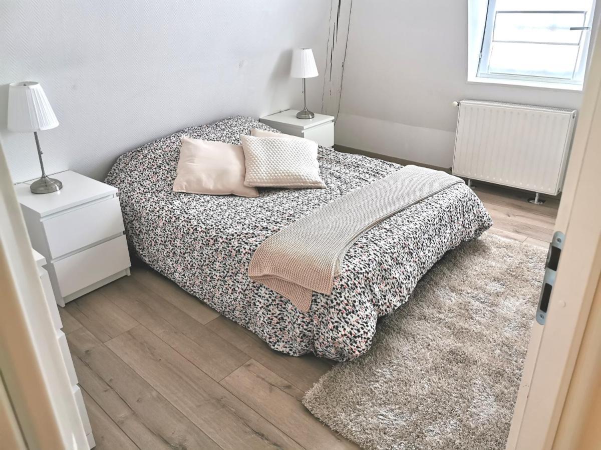 Petite Venise Grand Duplex Turenne Hyper Centre Colmar Eksteriør billede