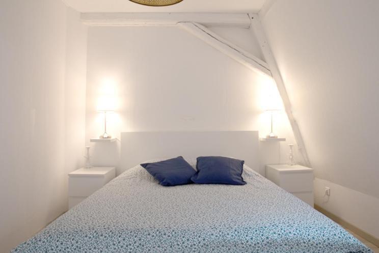 Petite Venise Grand Duplex Turenne Hyper Centre Colmar Eksteriør billede