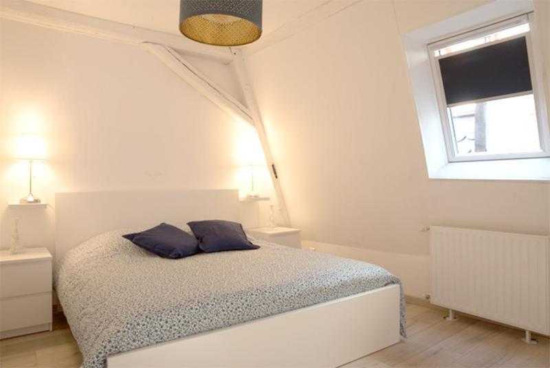 Petite Venise Grand Duplex Turenne Hyper Centre Colmar Eksteriør billede